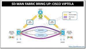 Sd Wan Fabric Bring Up In Cisco Viptela Ip With Ease