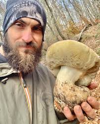 Mushroom hunter🍄🍄#lapioggia