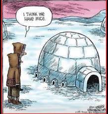Igloo Funny Cartoon Jokes Funny Cartoons Funny