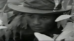 57 năm chiến thắng Vạn Tường