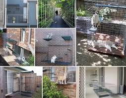 E Ai Gostou Catnip Modular Cat Enclosures Keeping Cats Safe In Australia Cat Enclosure Cat Playground Outdoor Cat Playground