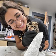 We are thrilled to welcome Dr. Valeska Stamatti back to Paws & Claws as our  newest associate veterinarian! Dr Stamatti just joined the team in  September 2025. She obtained her undergraduate degree