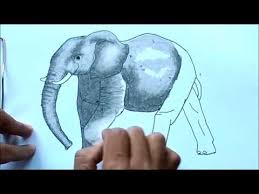 Untuk seri gambar mewarnai binatang, bunda bisa mendownload gambar gajah di link berikut : Contoh Gambar Cara Mewarnai Gajah Dengan Crayon Kataucap