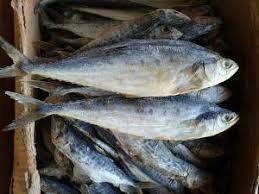 Check spelling or type a new query. 11 Jenis Ikan Asin Yang Banyak Dijual Di Indonesia Dan Olahan Lezatnya