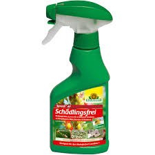 We did not find results for: Neudorff Spruzit Af Schadlingsfrei 250 Ml Kaufen Bei Obi