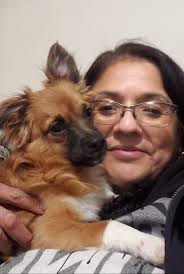 Lost dog found safe in Hanford California