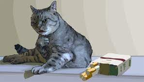 That risk increases with prolonged exposure. Ask The Vet Second Hand Smoke Sickens Cats