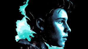 See photos of her house, including the 'vagina tunnel,' ball pit and more! Hd Wallpaper Singers Shawn Mendes Wallpaper Flare