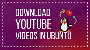 En ubuntu, abrí un terminal y escribí: Download Videos From Youtube In Ubuntu And Other Linux