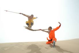 kung fu lessons in spartanburg sc pinterest