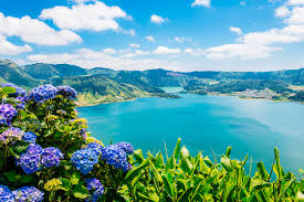 Конституционный суд португалии признал противоречащим основному закону проект, разрешающий проведение эвтаназии в стране. Portugaliya Dostoprimechatelnosti Otdyh Kulturnye Osobennosti Shtrafy I Zaprety Prazdniki Dosug Kuhnya Shoping