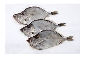 Ikan dori atau fillet dory populer dijadikan menu fish and chips, tahukah kamu kalau ikan ini sebenarnya ikan patin ? John Dory Fish Whole Citarella