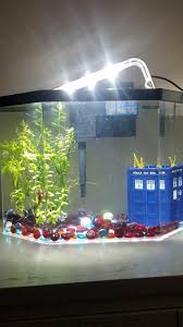 Ideas and advice for your betta tank all pet care. Any Decorating Ideas For My Bare Ass Tank I Want It To Be Beautiful And Nice For Houston But Not Too Busy Bettafish