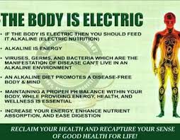 The Body Is Electric Alkaline Dr Sebi Health Heal Dr Sebi Alkaline Food Health