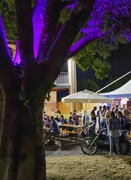 il ponte Codroipo n.03 maggio 2024 by Il Ponte - Issuu