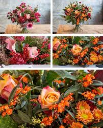 September birth flowers aster flower aster flowers one of the september birth flowers are symbols of love, afterthought, faith, wisdom, valor, and light. Monthly Flowers 6 Months Or A Year Of Flowers Helensburgh Flowers For A Year