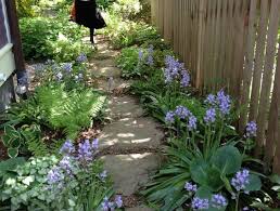If you have ¼ acre of land (or even less!), you can produce your own vegetables, fruits, grains, eggs, and more — this book shares garden plans, landscaping tips. Oak Shaded Landscape Gardening Shade Landscaping Side Yard Landscaping Yard Landscaping