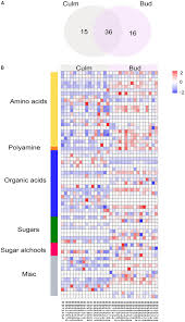 Vinicius de moraes on wn network delivers the latest videos and editable pages for news & events, including entertainment, music, sports, science and more, sign up and share your playlists. Frontiers Metabolite Profiles Of Sugarcane Culm Reveal The Relationship Among Metabolism And Axillary Bud Outgrowth In Genetically Related Sugarcane Commercial Cultivars Plant Science