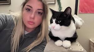 My young tuxedo cat Sylvester went missing at Sunset Ridge Apartments.  Please let me know if you find him. ￼ 1-31-25 Sylvester is still missing  please if you see him message me.