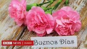 Image result for cual es la forma correcta buenas noches o buena noche
