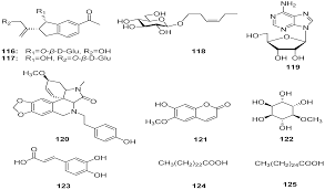 Image result for Pseudognaphalium oligandrum
