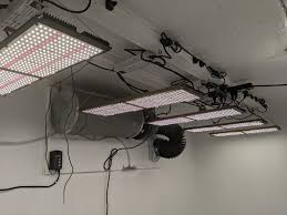 Keep the lights adjusted at the right height: Full Spectrum Led Quantum Board Buying Guide Growdoctorguides