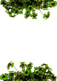 Check spelling or type a new query. Briefpapier Mit Blumen Kostenlose Vorlagen Zum Ausdrucken 14 08 2021 16 19 49