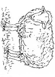 We did not find results for: Sheep Coloring Free Animal Coloring Pages Sheets Sheep