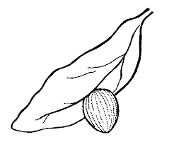 My little pony queen chrysalis coloring pages with archives bravica. The Children S Butterfly Site
