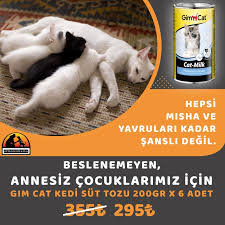 Gimcat Milk Yavru Kedi Sut Tozu 200 Gr