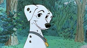 Browse latest funny, amazing,cool, lol, cute,reaction gifs and animated pictures! Top 5 Viral Images On Internet No 3 Will Shock You Trending Viral News Quotes Disney Animals Disney Quiz Disney Animation