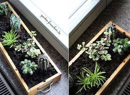 Sie sehen klasse aus und sind auch schon schön im garten eingepflanzt. Sukkulenten Garten Fraulein Der Garten Blog