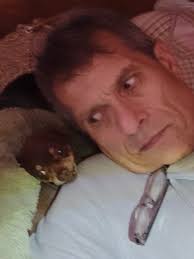 UPDATE, Rusty is home!!! Thank you to all of you who shared my post. He is  indeed blind and deaf. By the sounds of it this fellow went