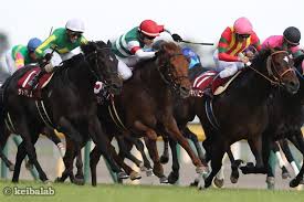 Read the rest of this entry ». äº¬çŽ‹æ¯ã‚¹ãƒ—ãƒªãƒ³ã‚°ã‚«ãƒƒãƒ—ã®éŽåŽ»10å¹´ãƒ‡ãƒ¼ã‚¿ å¥½èµ°é¦¬ä¸€è¦§ 2018å¹´5æœˆ12æ—¥æ±äº¬11r ç«¶é¦¬ãƒ©ãƒœ
