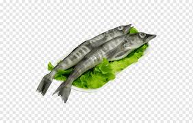 The fish you purchase will not be the exact fish seen in the photo. Fish Euclidean Two Big Fish White Animals Aquarium Fish Png Pngwing