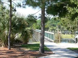 Birdwatching South Lake Howard Nature Park 10 2 10 Winter Haven Florida State Parks Lake