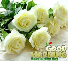 Down the collection at your mobile for free and send your loved one's images every day. Have A Nuce Day Friends Good Morning Nature Facebook