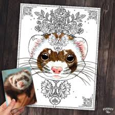 You can use it for free, please to download here. Xl Coloring Page Poster Cathugger Printable Ferret Fair