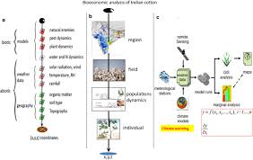 In india icar sponsor first village level ipm in punjab in 1975. Bio Economics Of Indian Hybrid Bt Cotton And Farmer Suicides Environmental Sciences Europe Full Text