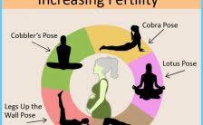 baba ramdev yoga for blocked fallopian