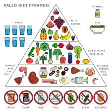 What Is Paleo Diet Learn Paleo Diet Chart In India