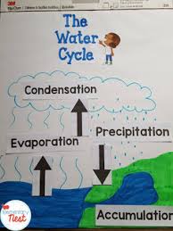 Teaching Water Cycle Activities Resources And A Freebie