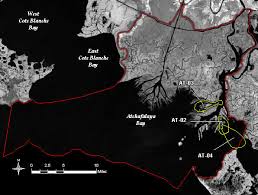 The Atchafalaya Basin