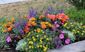 Was Soll Ich Als Grabbepflanzung Benutzen Winter Herbst Fruhling Bodendecker Blumen Grabgestaltungsommer Pflegelei Grabbepflanzung Bepflanzung Pflanzen