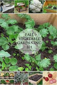 Vegetable Seeds For Sale Ebay Fall Garden Vegetables Growing Vegetables Fall Vegetables
