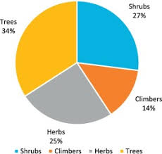 Image result for Duosperma fanshawei