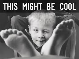 Wellness Plan by Melissa Ebeling