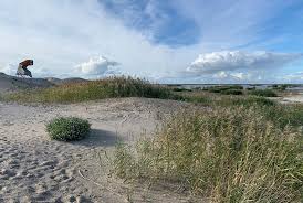 Het project is nog volop in aanbouw, maar het grootse natuurproject marker wadden in het markermeer, tussen. Landal Marker Wadden Unieke Landal Natuurhuisjes Midden In Het Markermeer