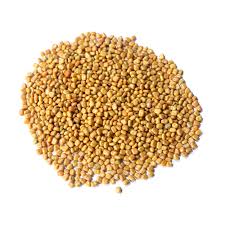 Image result for Calopogonium mucunoides