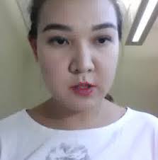 LipType: A Silent Speech Recognizer Augmented with an Independent Repair  Model